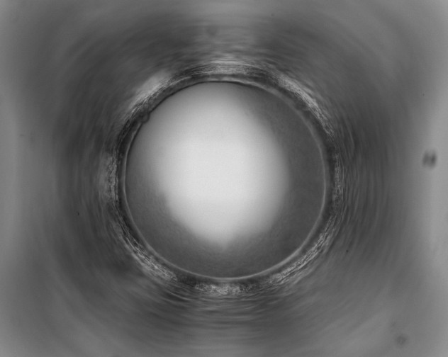 X0000101191403200806271304