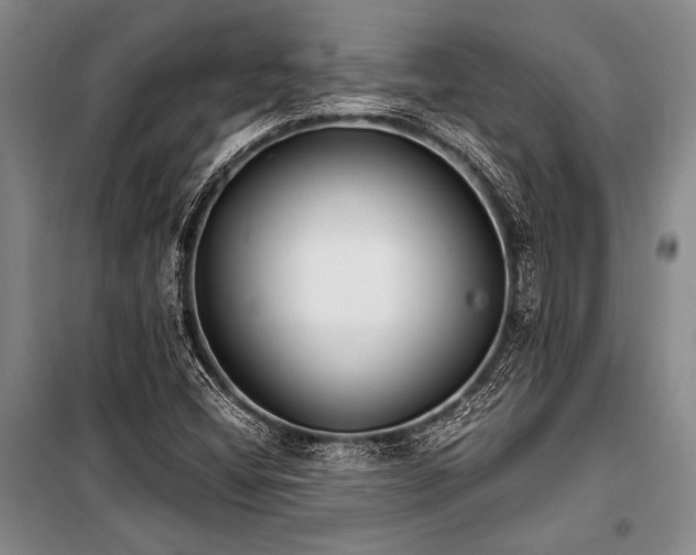 X0000101191404200806271304