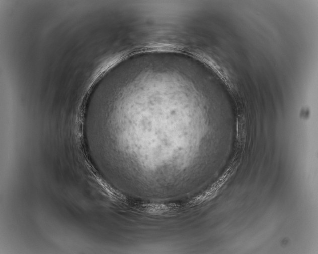 X0000101191405200806271304