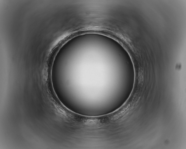 X0000101191406200806271304