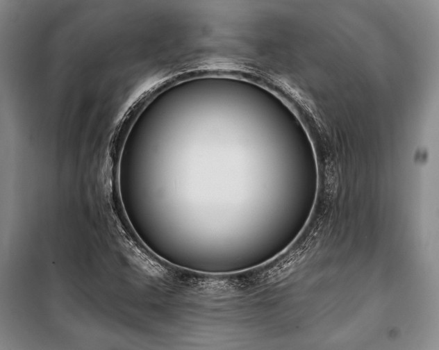 X0000101191408200806271304