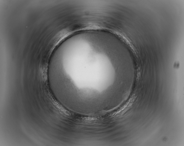 X0000101191409200806271304