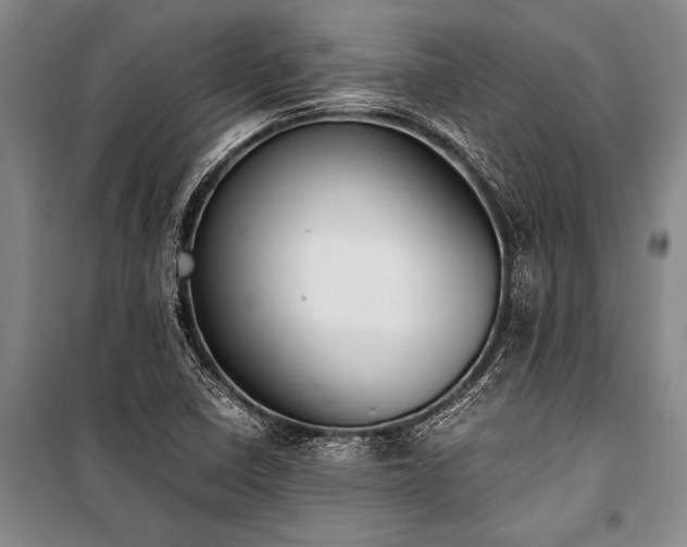X0000101191410200806271304