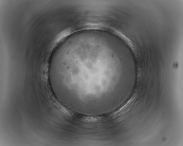 X0000101191411200806271304