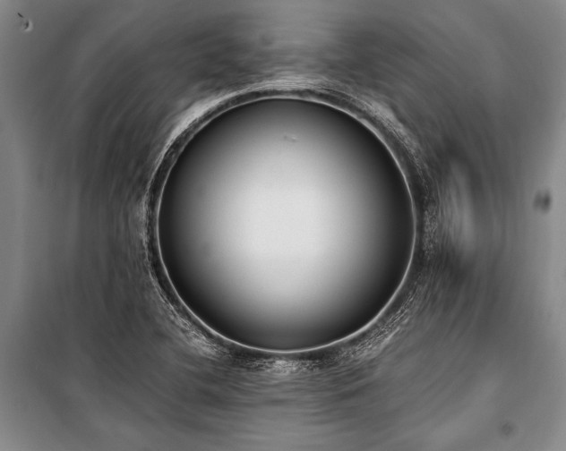X0000101191412200806271304