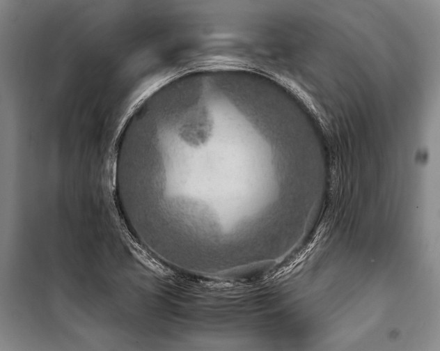 X0000101191413200806271304