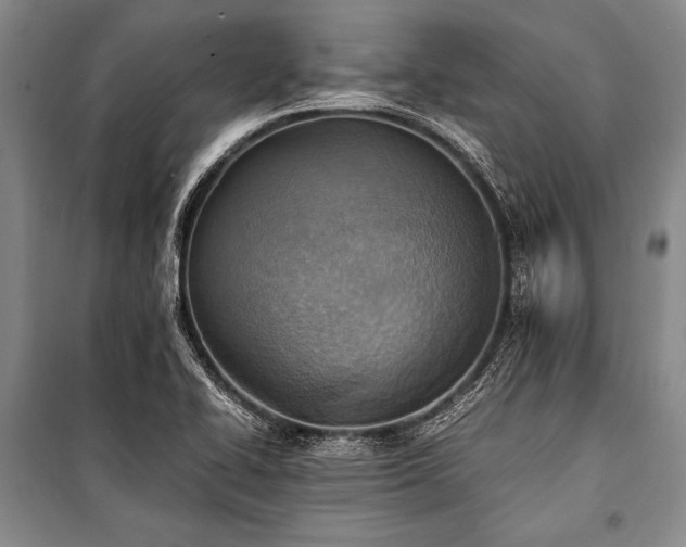 X0000101191414200806271304