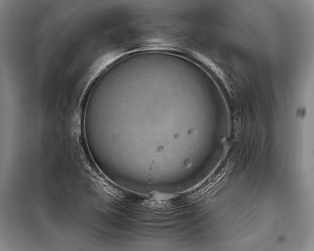 X0000101191415200806271304