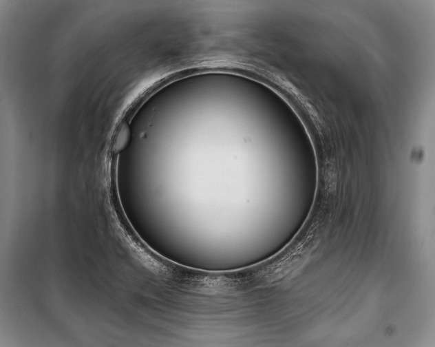 X0000101191416200806271304