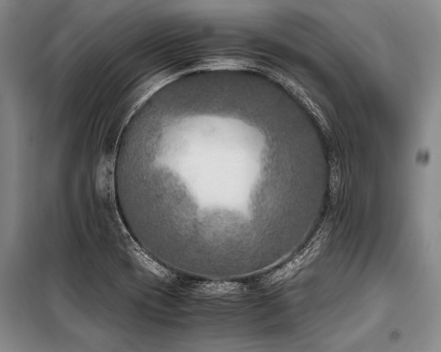 X0000101191417200806271304