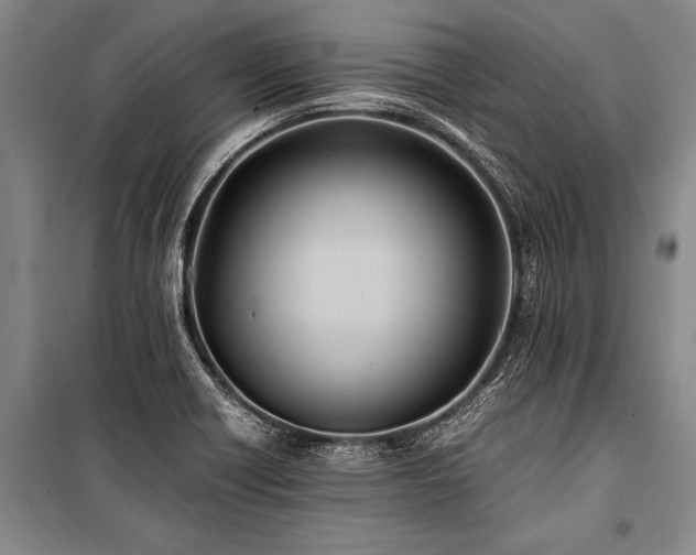 X0000101191418200806271304
