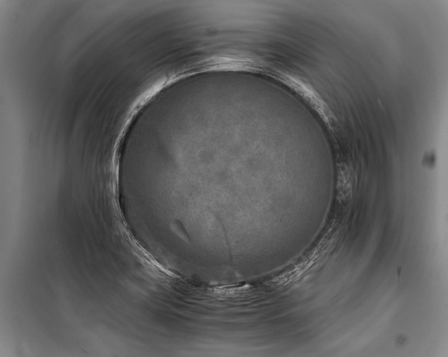 X0000101191419200806271304