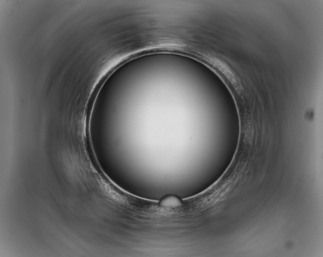 X0000101191420200806271304