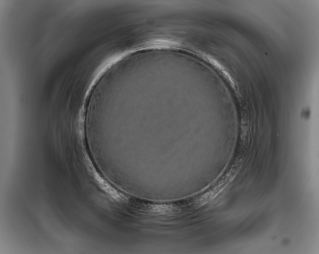 X0000101191421200806271304