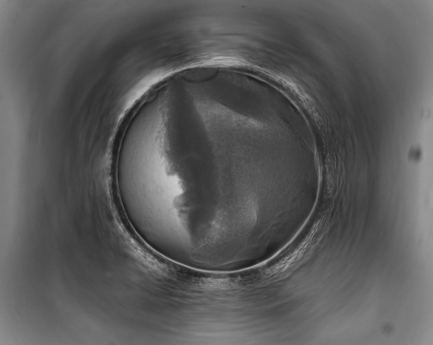 X0000101191422200806271304