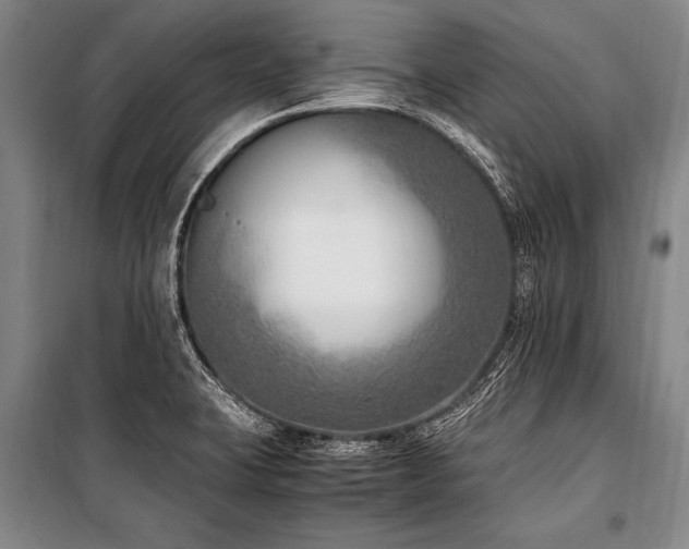 X0000101191423200806271304