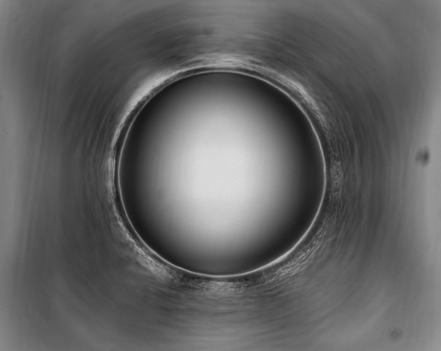 X0000101191424200806271305