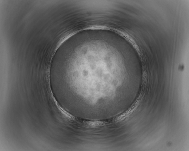 X0000101191425200806271305
