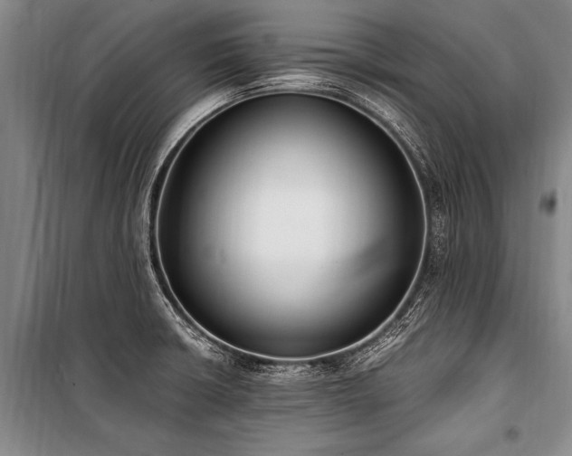X0000101191426200806271305
