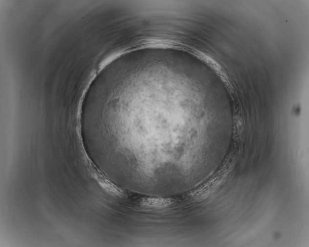 X0000101191427200806271305