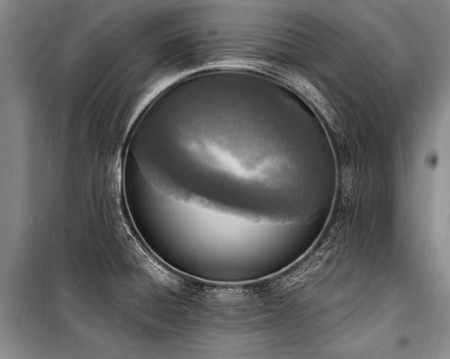 X0000101191428200806271305