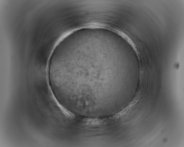 X0000101191429200806271305