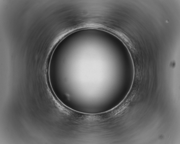 X0000101191430200806271305