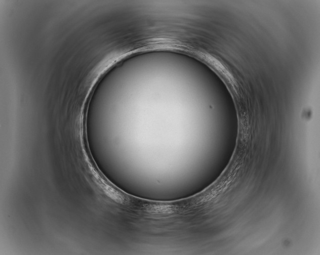 X0000101191431200806271305