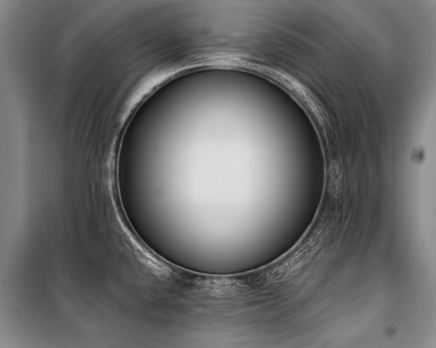 X0000101191432200806271305