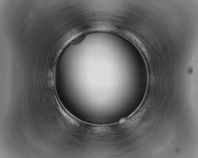 X0000101191433200806271305