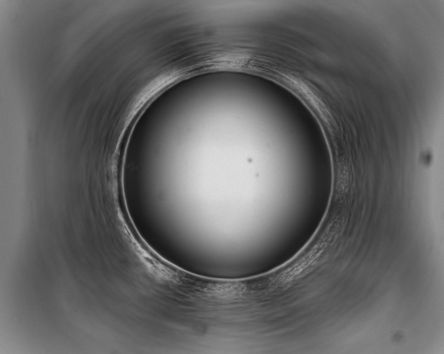 X0000101191434200806271305