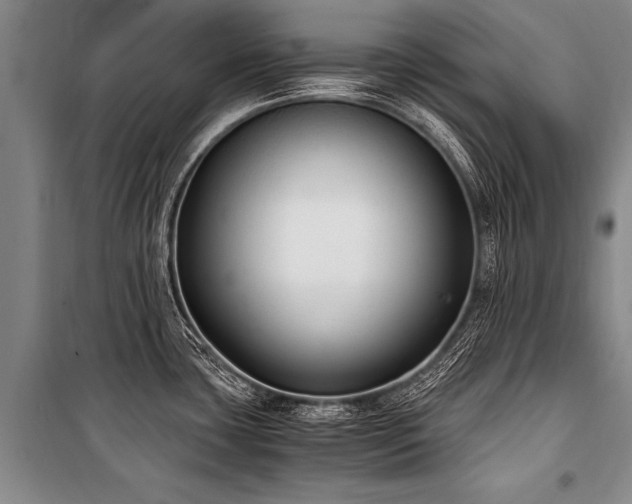 X0000101191435200806271305