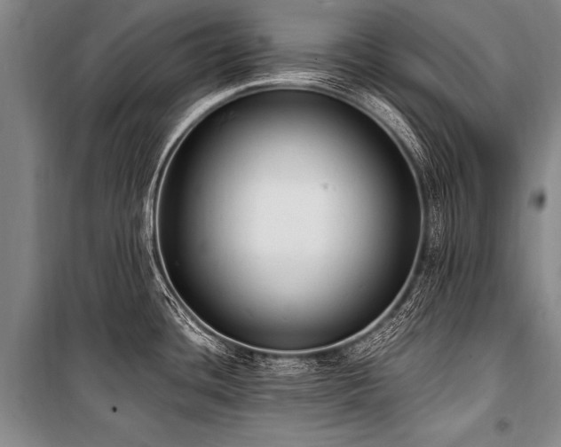 X0000101191436200806271305