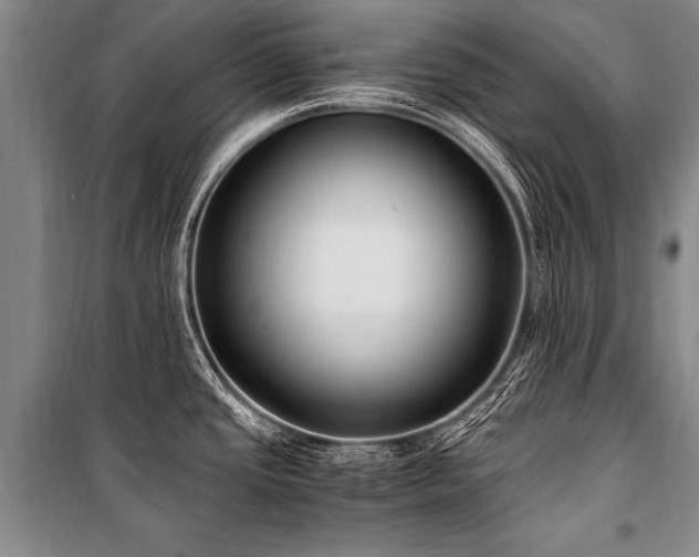 X0000101191437200806271305