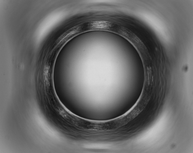 X0000101191438200806271305