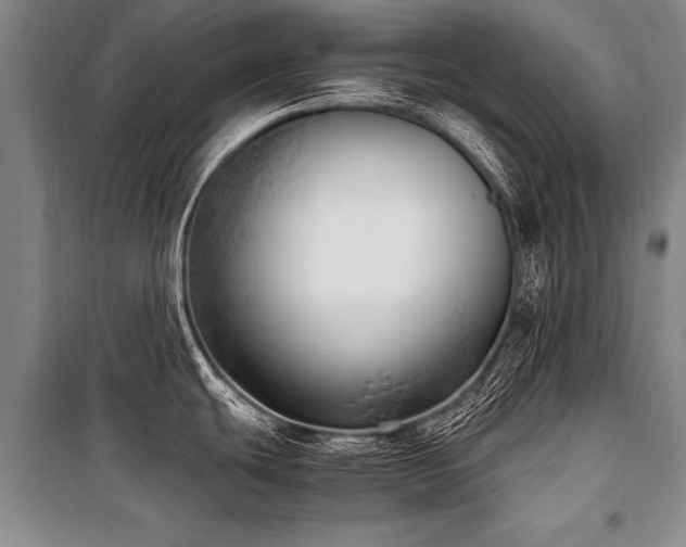 X0000101191439200806271305
