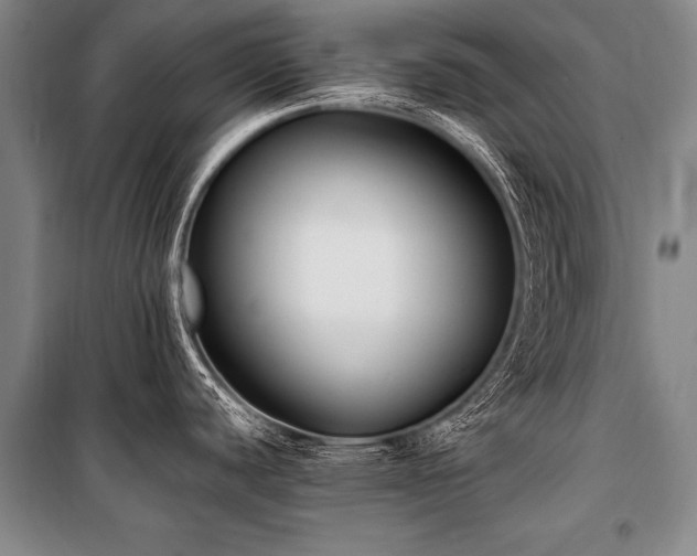 X0000101191440200806271305
