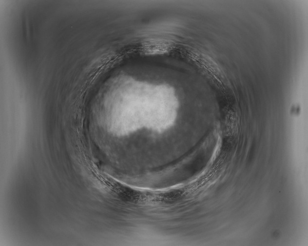 X0000101191441200806271304