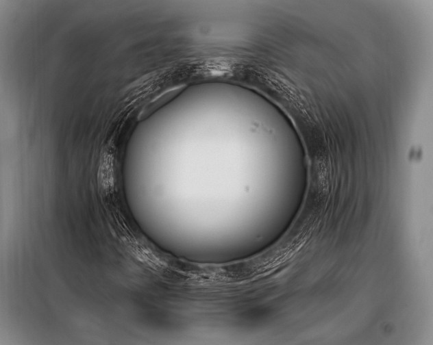 X0000101191442200806271304