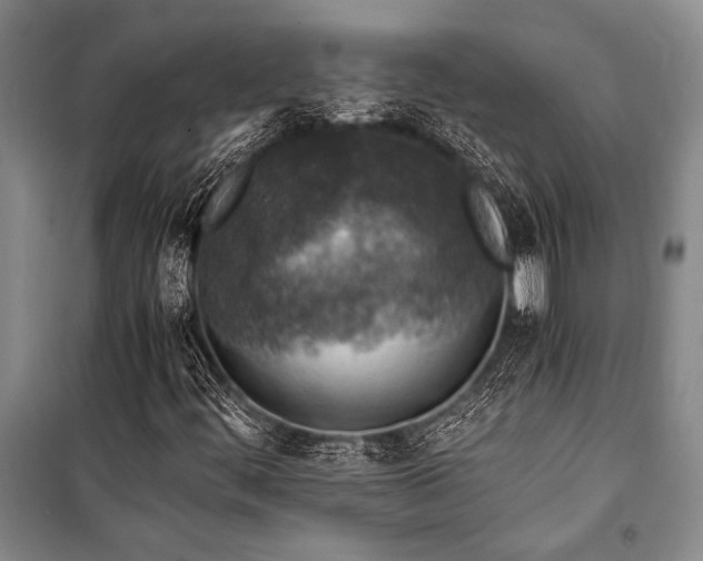 X0000101191444200806271304