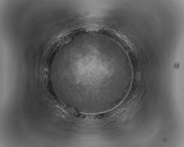 X0000101191445200806271304