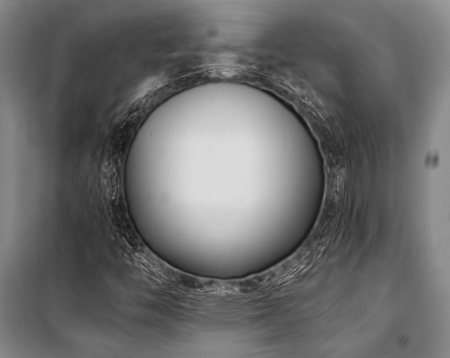 X0000101191446200806271304
