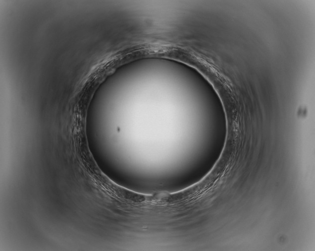 X0000101191447200806271304