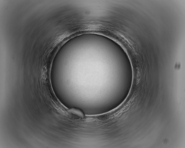 X0000101191449200806271304