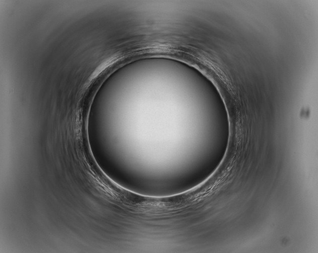 X0000101191450200806271304