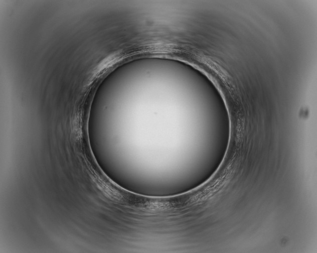 X0000101191451200806271304