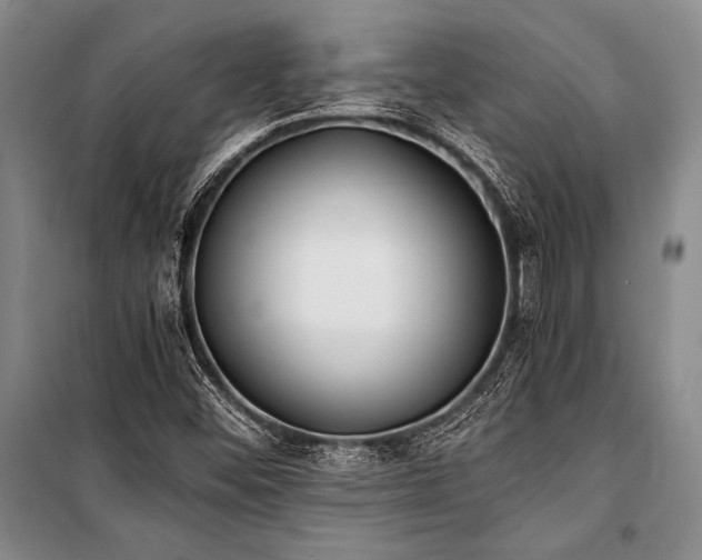 X0000101191452200806271304