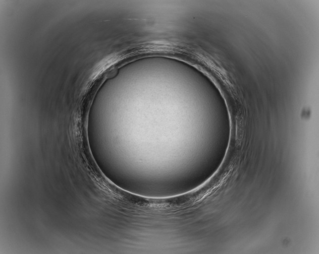 X0000101191453200806271304