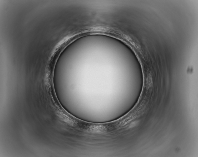 X0000101191454200806271304
