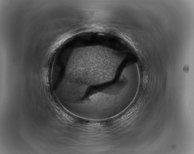 X0000101191455200806271304